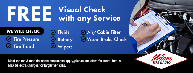 Visual check Service